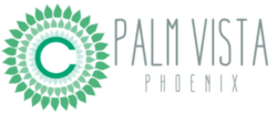 palm vista logo