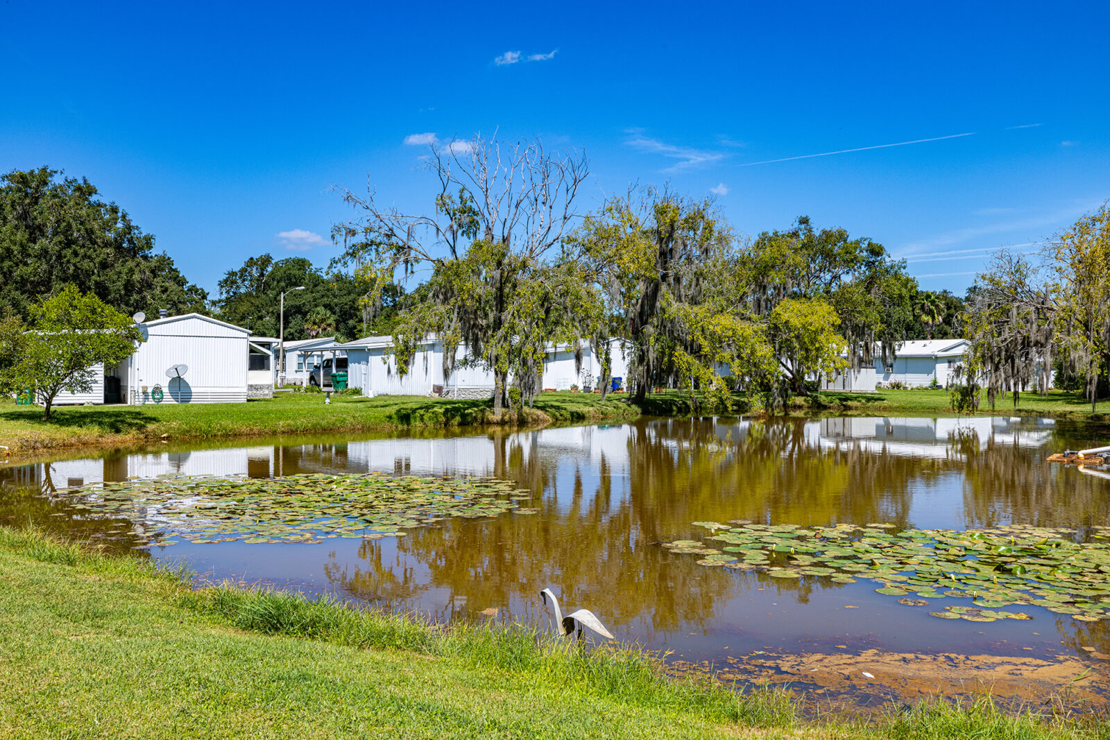 Several white mobile homes are visible behind a small pond filled with lily pads, surrounded by green grass and trees under a clear blue sky.